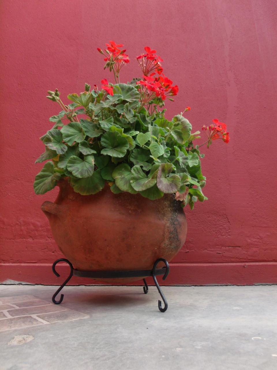 Hosteria Felipa Pastor - Ex Munay Humahuaca Luaran gambar